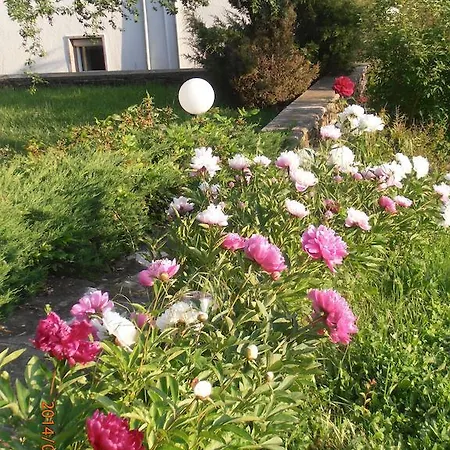 Gasthof Venikula