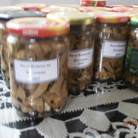 Venikula Sewliewo