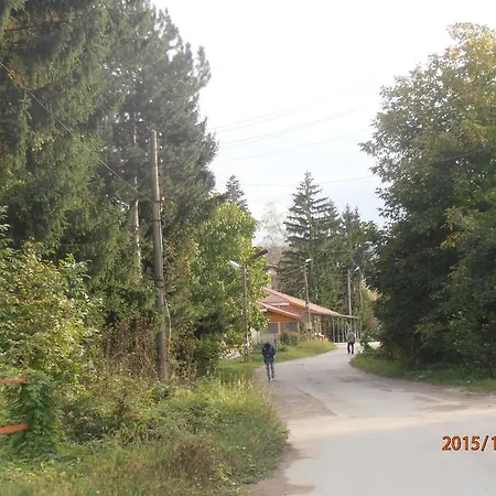 Venikula