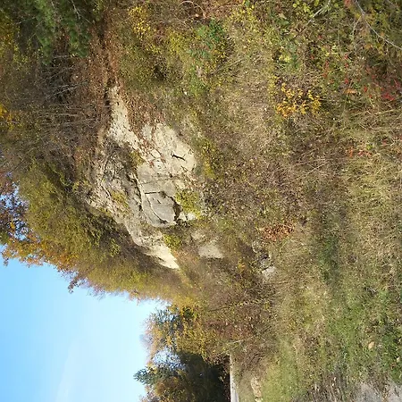 Venikula Gasthof Sewliewo