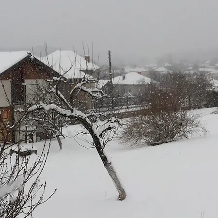 Gasthof Venikula Sewliewo